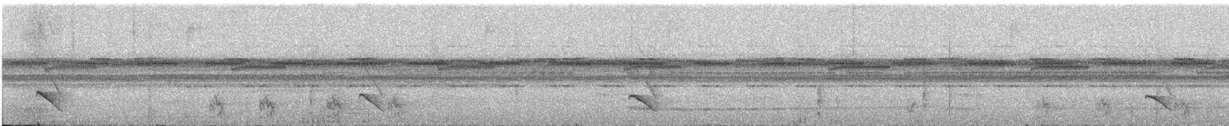 Dot-winged Antwren - ML639510770