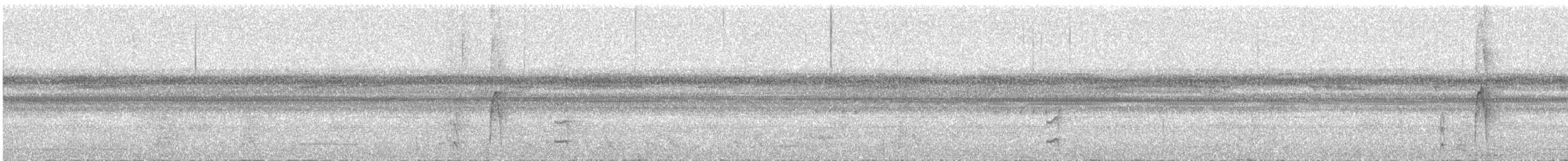 Dot-winged Antwren - ML639510771