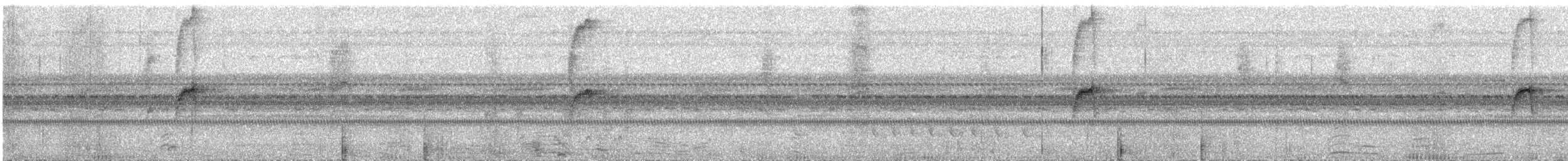 Olive-faced Flatbill - ML639510779