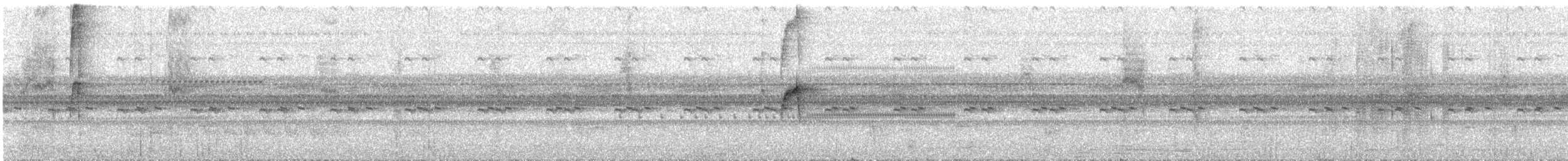 Olive-faced Flatbill - ML639510780