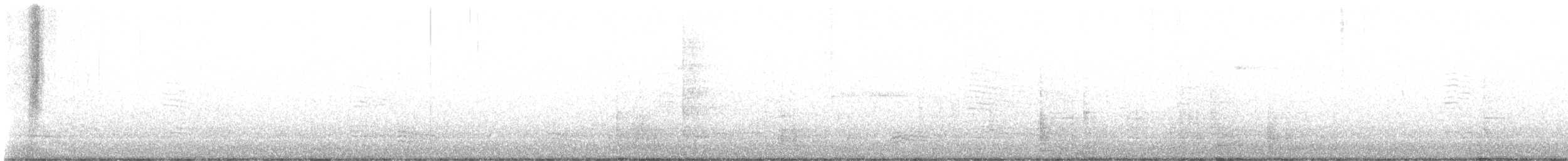 Black Phoebe - ML639514207