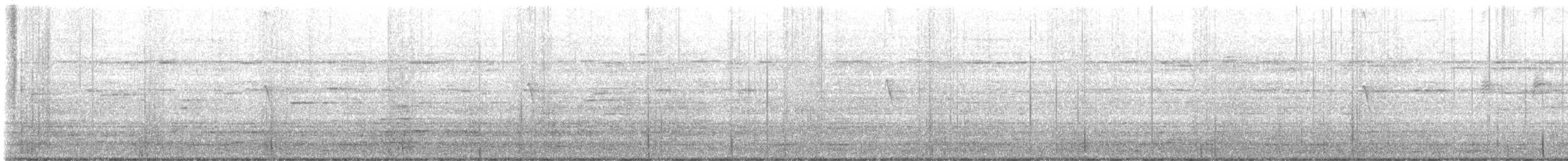 Black Phoebe - ML639514208