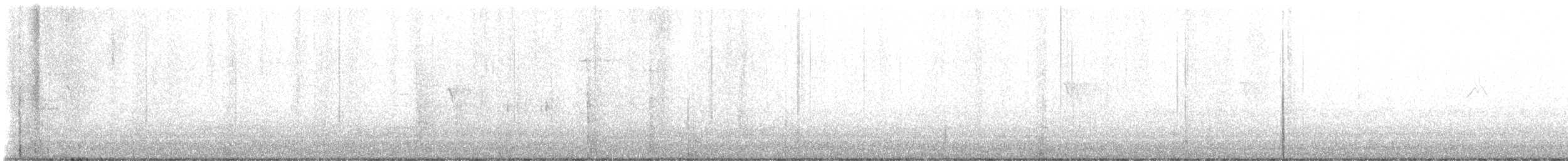 Black Phoebe - ML639514209
