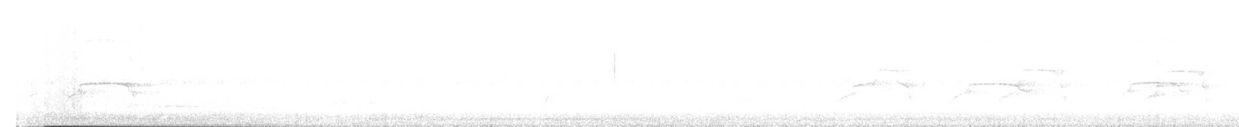 Zone-tailed Hawk - ML639517573