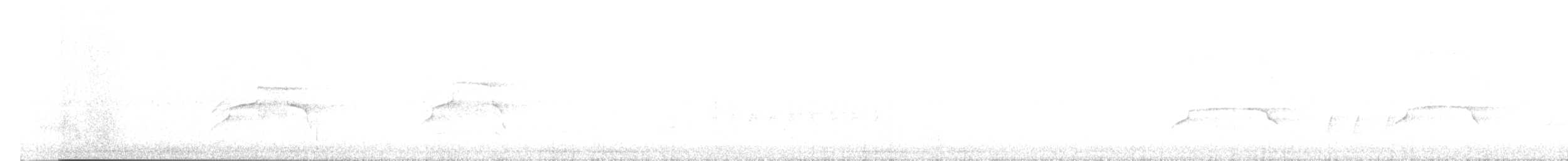 Zone-tailed Hawk - ML639517581