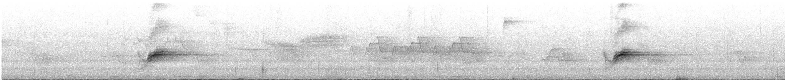 Eastern Towhee - ML639518189