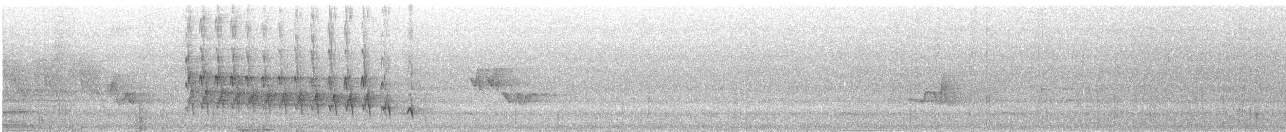 American Robin - ML639518664