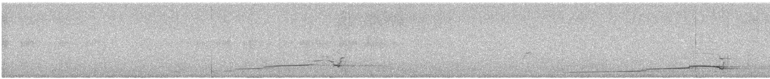 Himalayan Snowcock - ML639519602