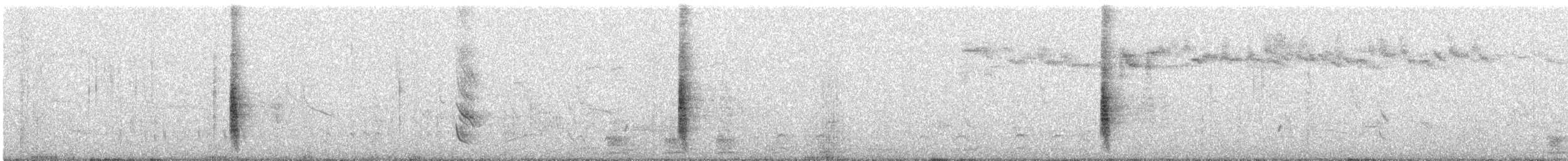Chilean Mockingbird - ML639519880