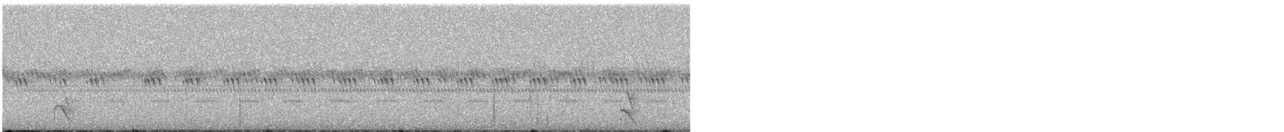 Elf Owl - ML639522186
