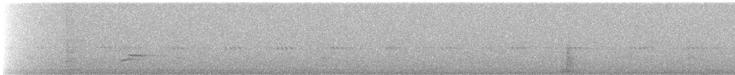 Eurasian Thick-knee - ML639524551