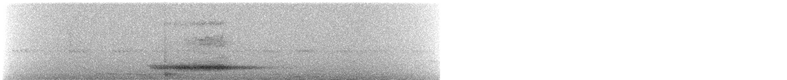 Western Barn Owl - ML639524556