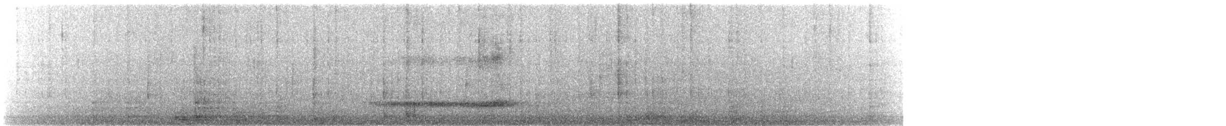 Western Barn Owl - ML639524558