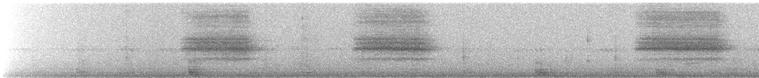 Western Barn Owl - ML639524559