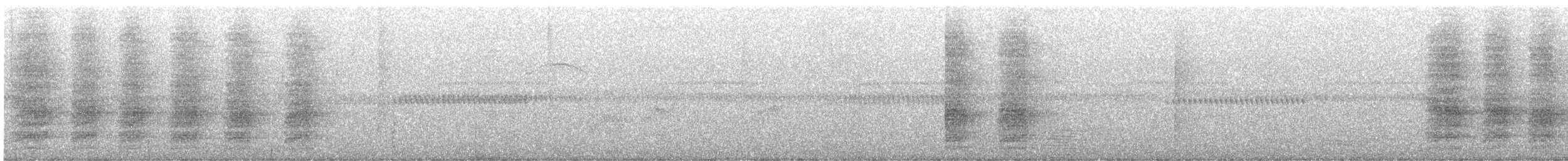Greater Lophorina - ML639525563