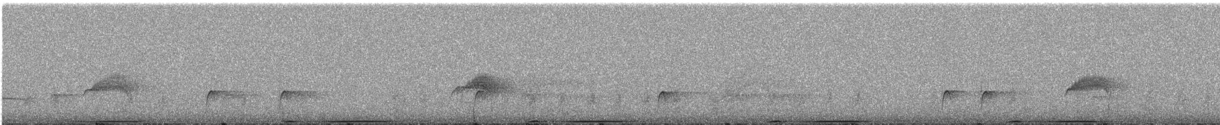 Band-tailed Pigeon - ML639525855