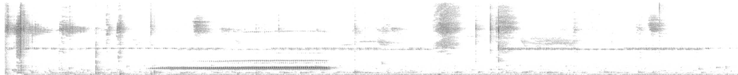 White-breasted Tapaculo - ML639528213