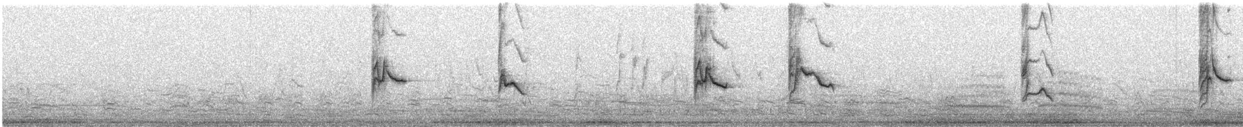 Black-chinned Siskin - ML639530012