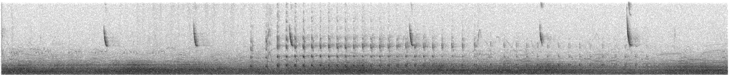 Andean Goose - ML639530366