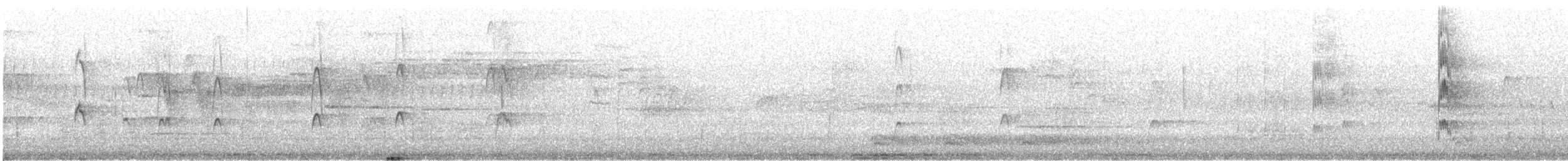 Red-cockaded Woodpecker - ML639530445