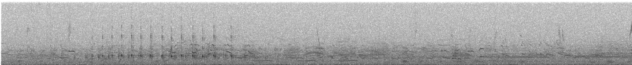 Andean Goose - ML639530453