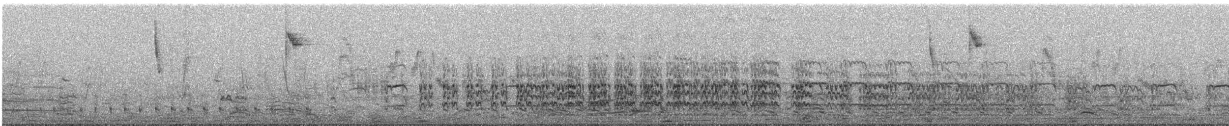 Southern Lapwing (chilensis/fretensis) - ML639530665