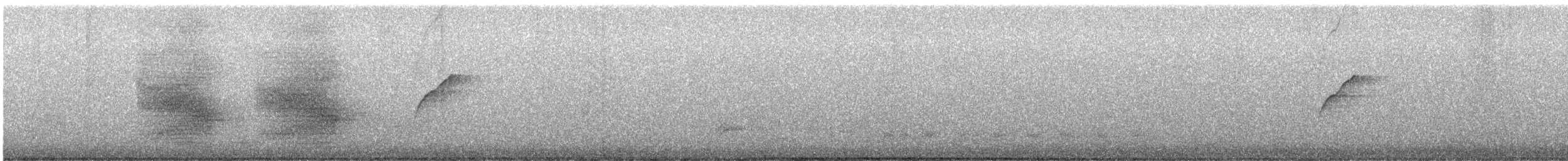 Western Flycatcher (Cordilleran) - ML639531276