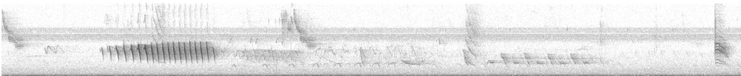 キタホオジロヒメウソ - ML639532191