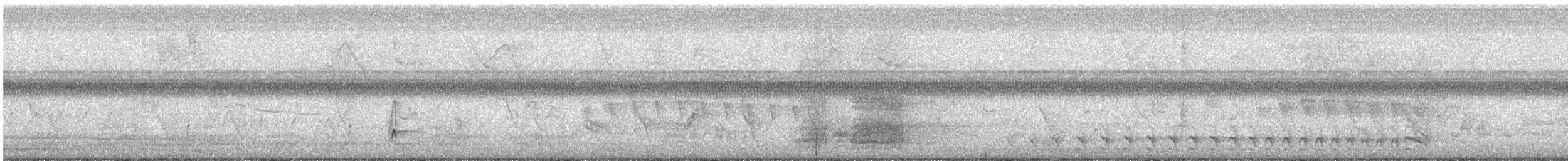 Brown-crested Flycatcher - ML639533202