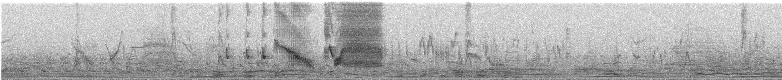 Long-tailed Meadowlark - ML639535918