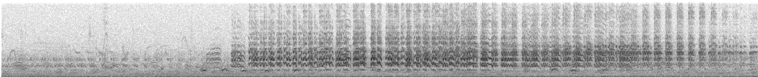 Southern Lapwing (chilensis/fretensis) - ML639535994