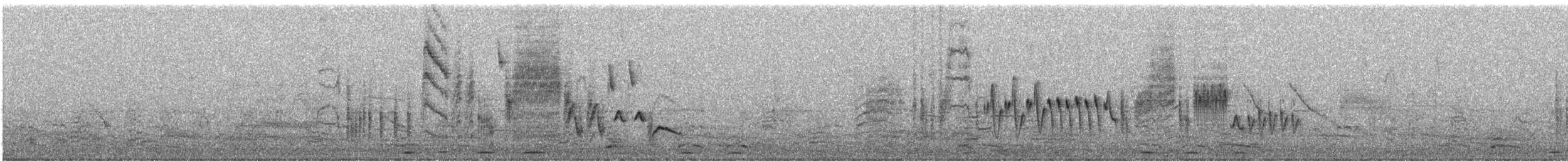 Southern House Wren - ML639536168