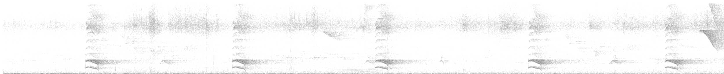 sokolec pralesní - ML639536622