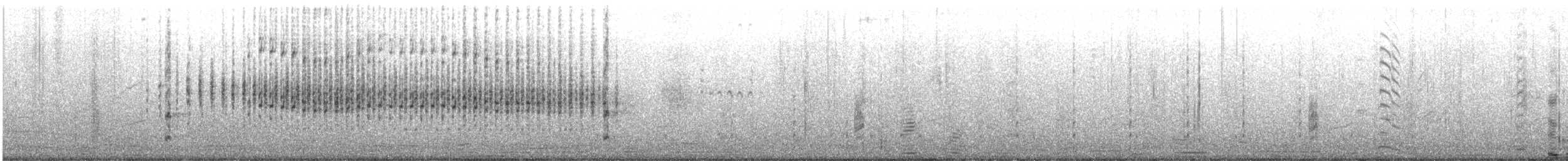 Australasian Grebe - ML639542946