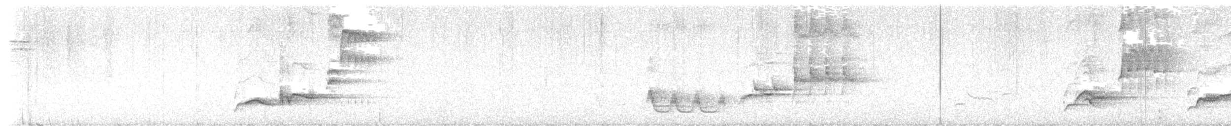 Bassian Thrush - ML639543195