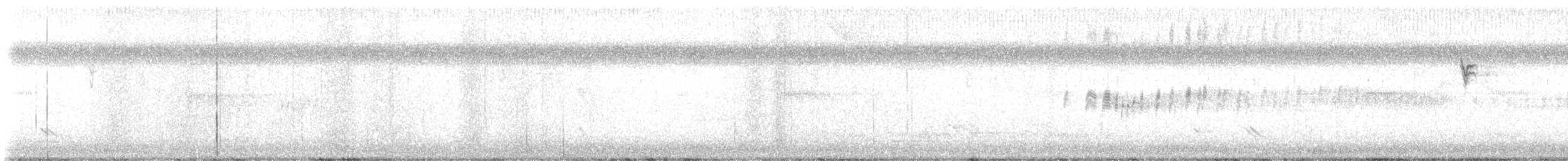 svarthettebisp - ML639543382