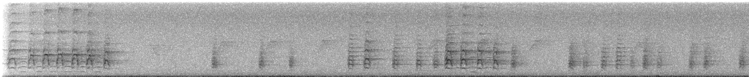 Oriental Pied-Hornbill - ML639545577