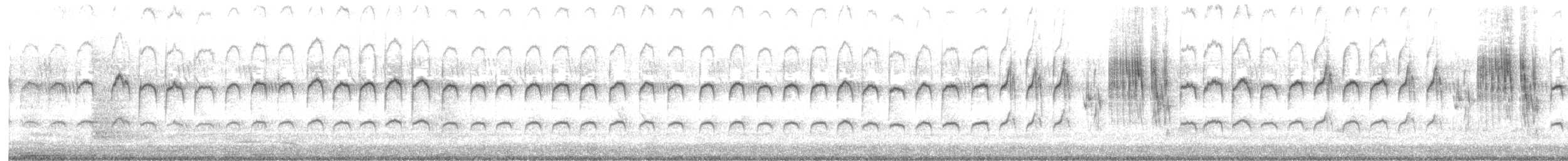 Gray-breasted Prinia - ML639546271