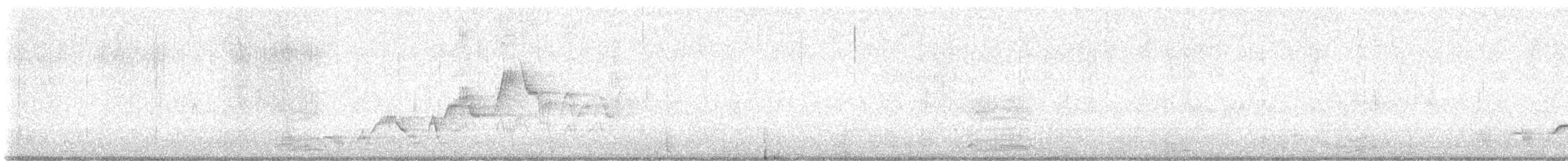 Swainson's Thrush - ML639549176