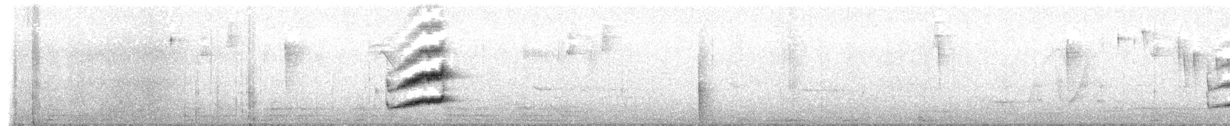 Highland Elaenia - ML639549762