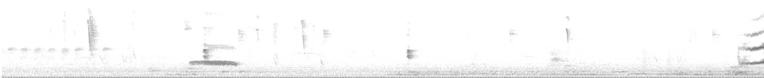 Highland Elaenia - ML639549763