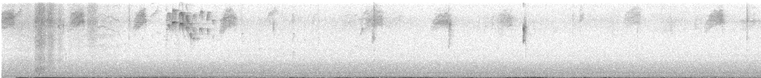Rivoli's Hummingbird - ML639550932