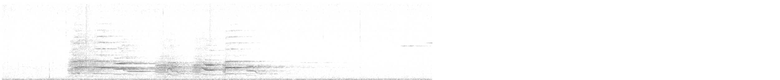 Black Currawong - ML639552968