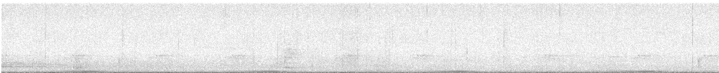 Common Bronzewing - ML639553085