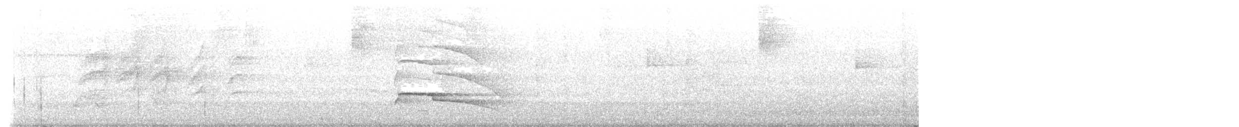Gray-lined Hawk - ML639553243