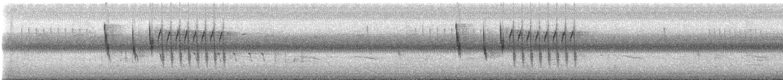 Sedge Wren - ML639553407