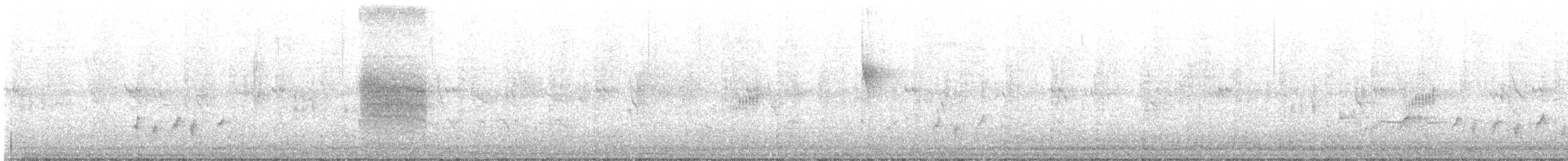 Black Scrub-Robin - ML639553514