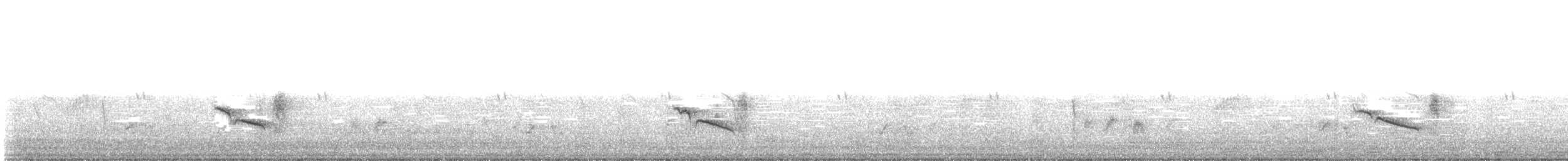 Black Scrub-Robin - ML639553515