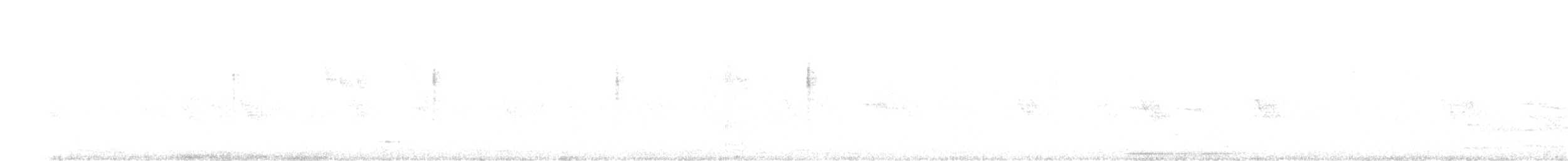 Broad-billed Hummingbird - ML639554132