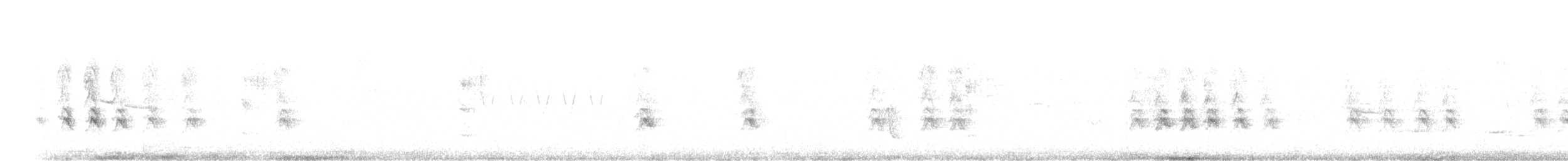 House Finch (Common) - ML639554165